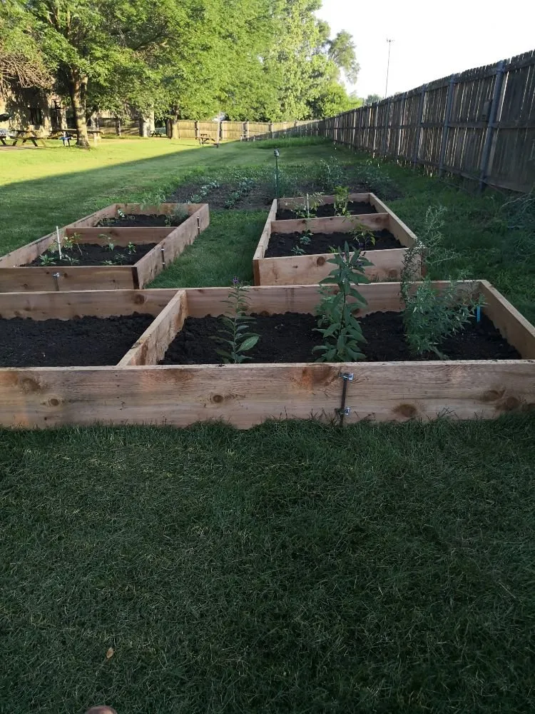 Reliable landscaping services in Columbus, OH - The Clover Landscape