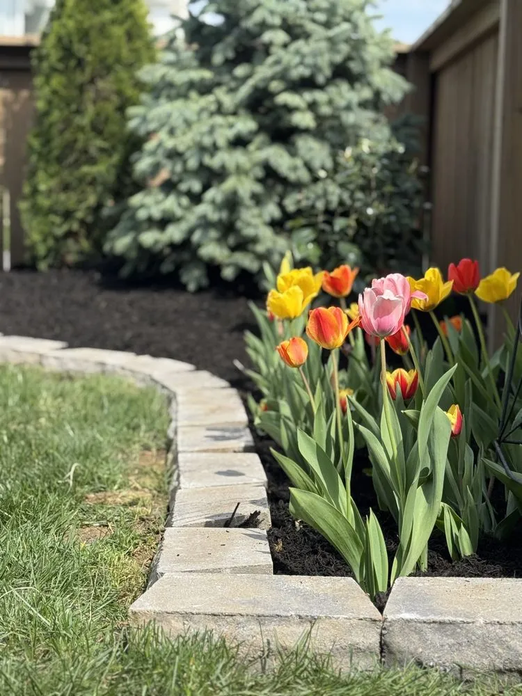 Reliable outdoor landscaping experts serving Louisville, KY - The Clover Landscaping