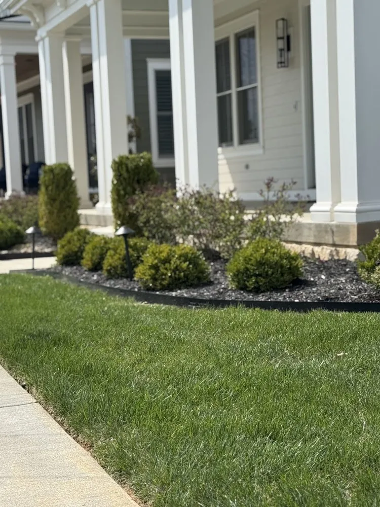 Professional lawn mowing service in Louisville, KY by The Clover Landscaping