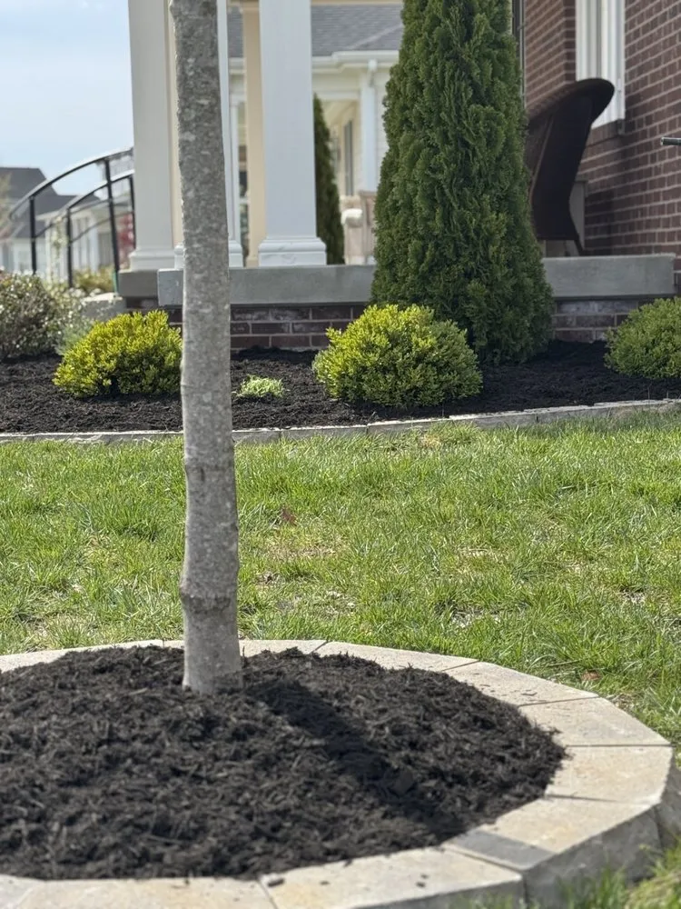 Professional landscape installation near you across Louisville, KY - The Clover Landscaping