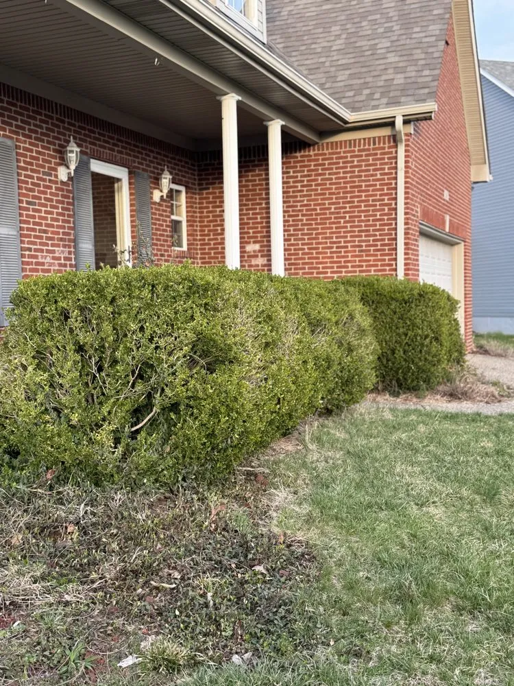 Trusted residential landscaping in Louisville, KY - The Clover Landscaping