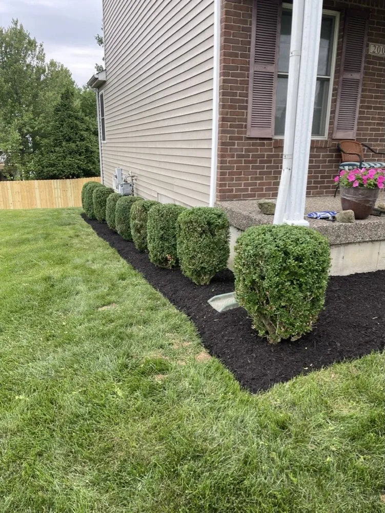 Top-rated residential landscaping for year-round maintenance across Louisville, KY - The Clover Landscaping
