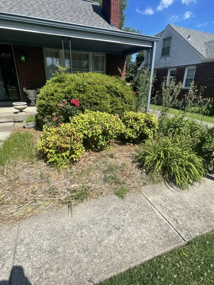 Expert yard cleanup service experts serving Louisville, KY - The Clover Landscaping