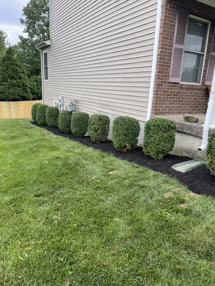 Expert landscape design in Louisville, KY - The Clover Landscaping