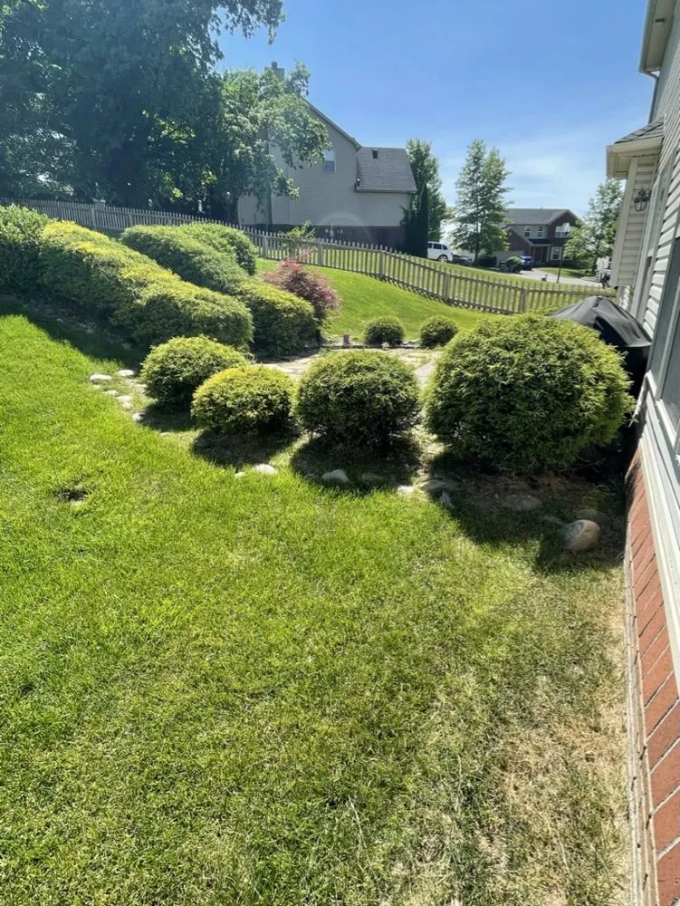 Top-rated lawn care service experts serving Louisville, KY - The Clover Landscaping