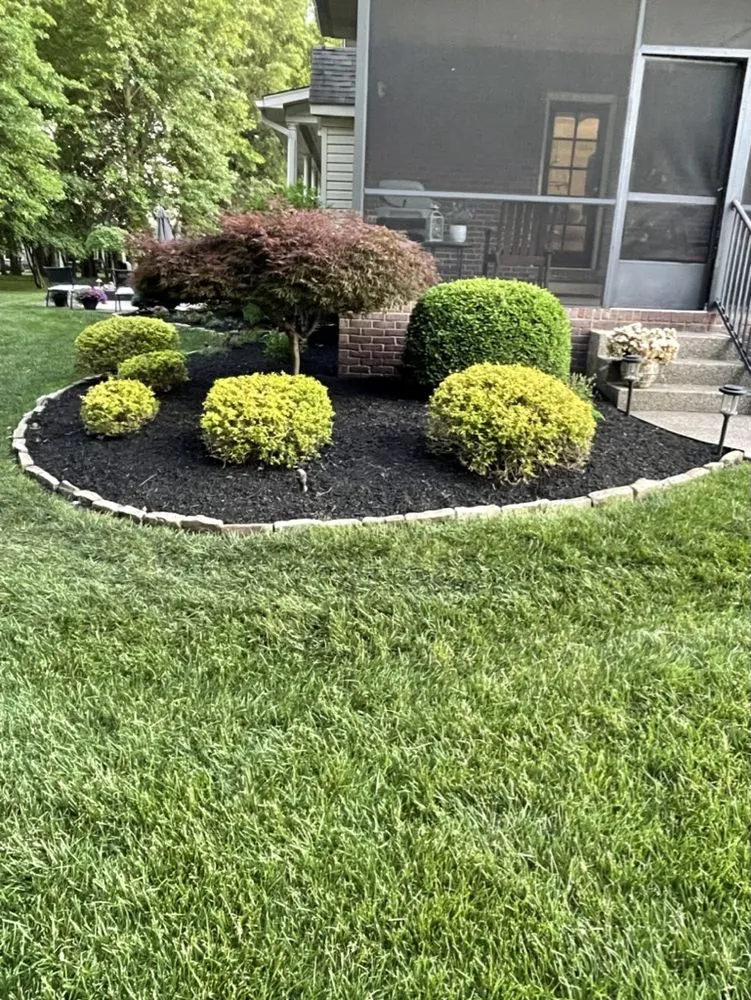 Top-rated lawn care service in Louisville, KY - The Clover Landscaping