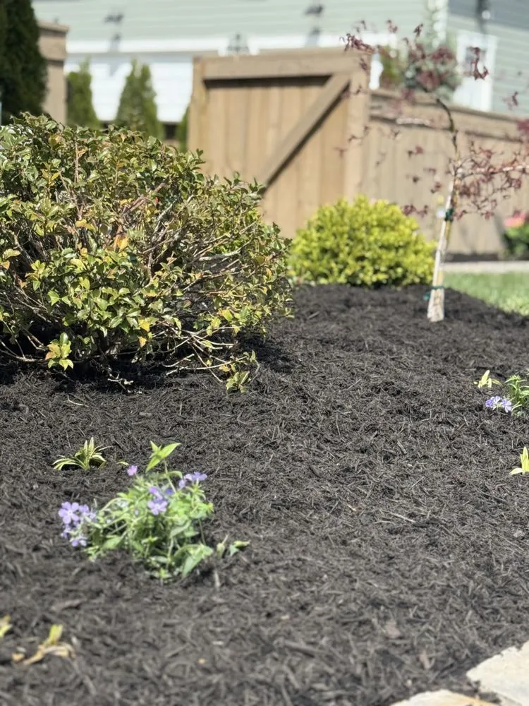 Professional lawn mowing service in Louisville, KY by The Clover Landscaping