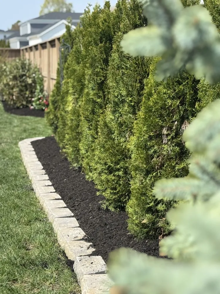 Trusted lawn care service for outdoor upgrades across Louisville, KY - The Clover Landscaping