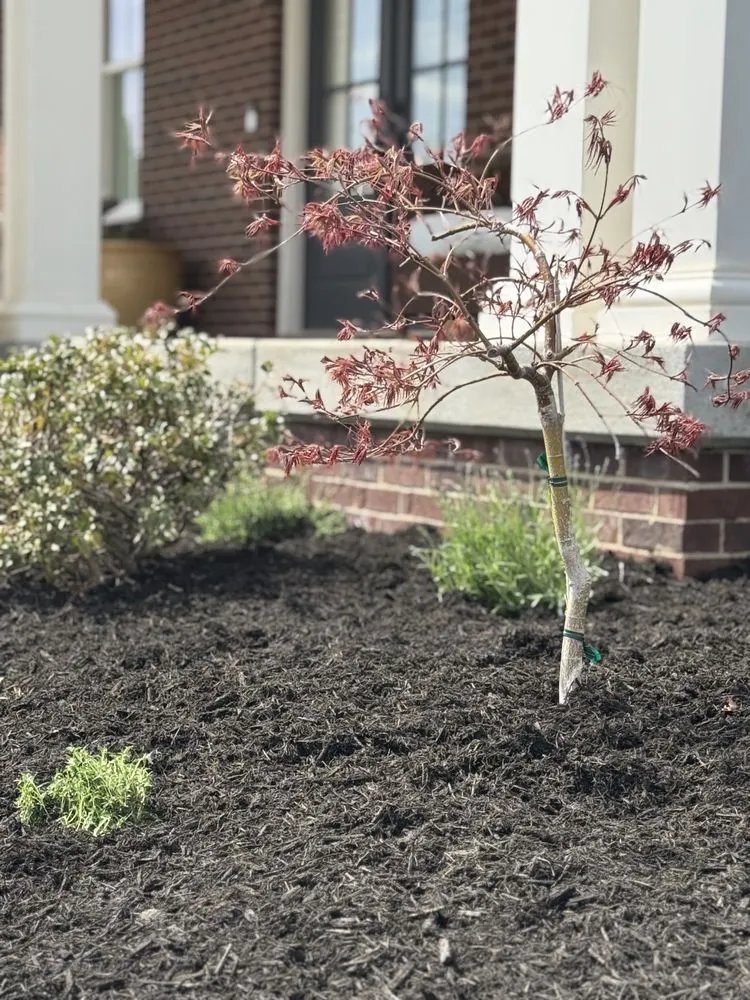 Local landscaping services in Louisville, KY by The Clover Landscaping