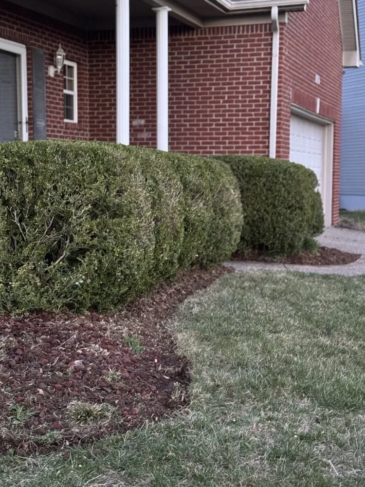 Reliable lawn care service near you in Louisville, KY by The Clover Landscaping
