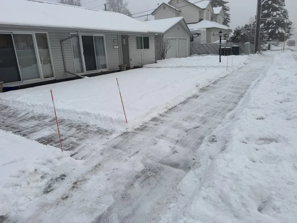 Trusted lawn mowing service in Anchorage, AK by The Cold Standard