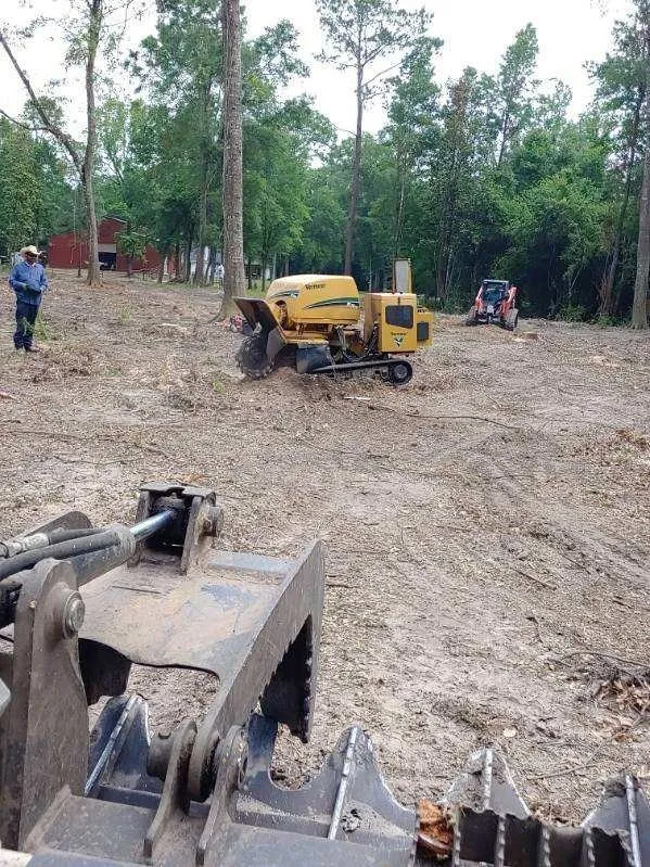 Top-rated landscaping services for homes in Beaumont, TX by The Compadres Landscaping