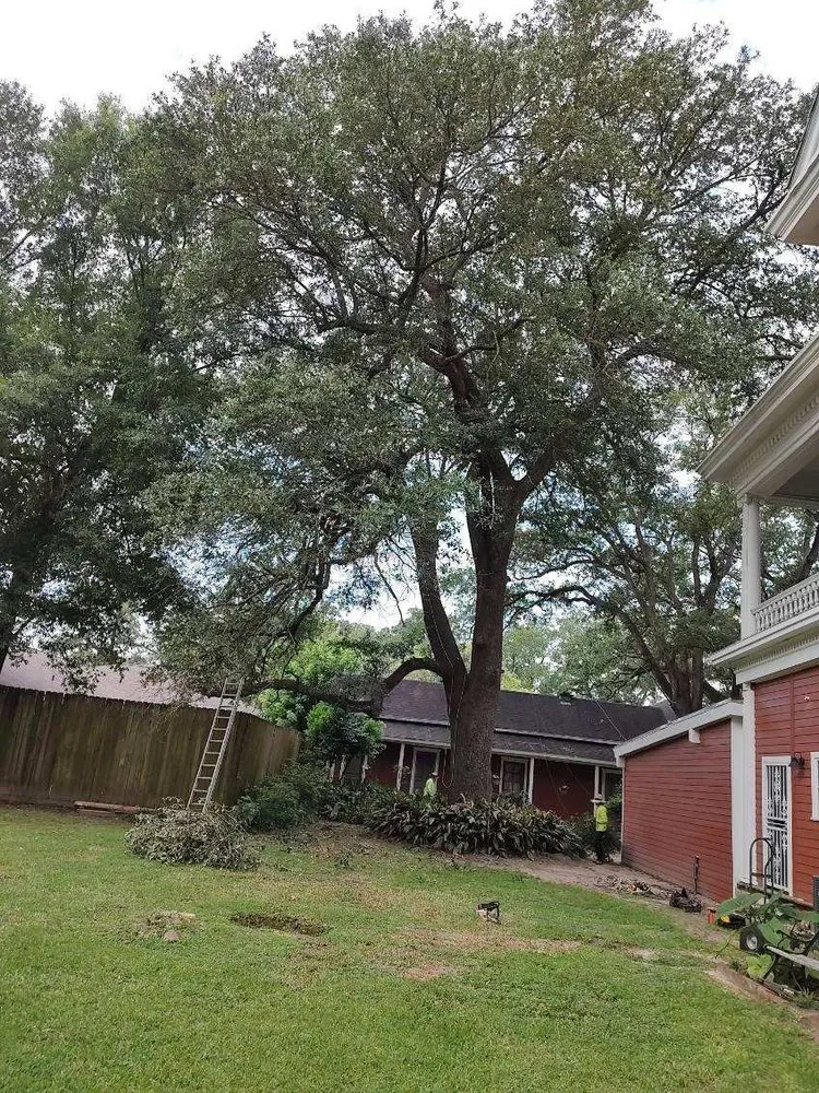 Local lawn mowing service for outdoor upgrades in Beaumont, TX by The Compadres Landscaping