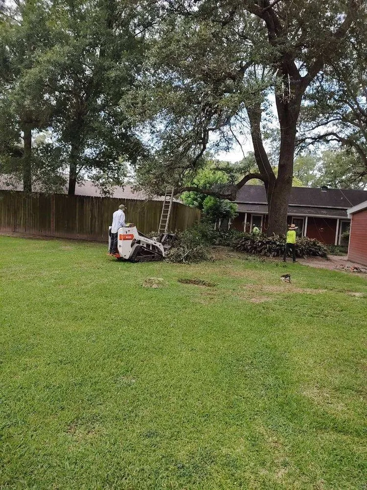 Expert landscape installation in Beaumont, TX by The Compadres Landscaping