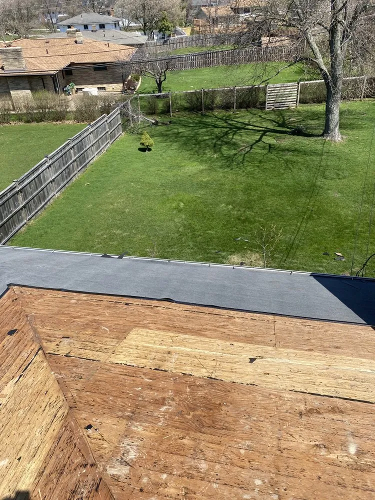 Trusted yard cleanup service in Cleveland, OH - The Competent