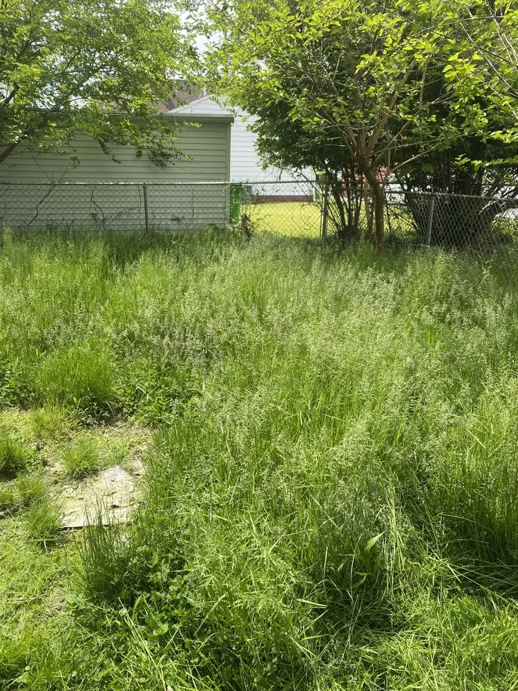 Professional garden landscaping for beautiful yards across Cleveland, OH - The Competent