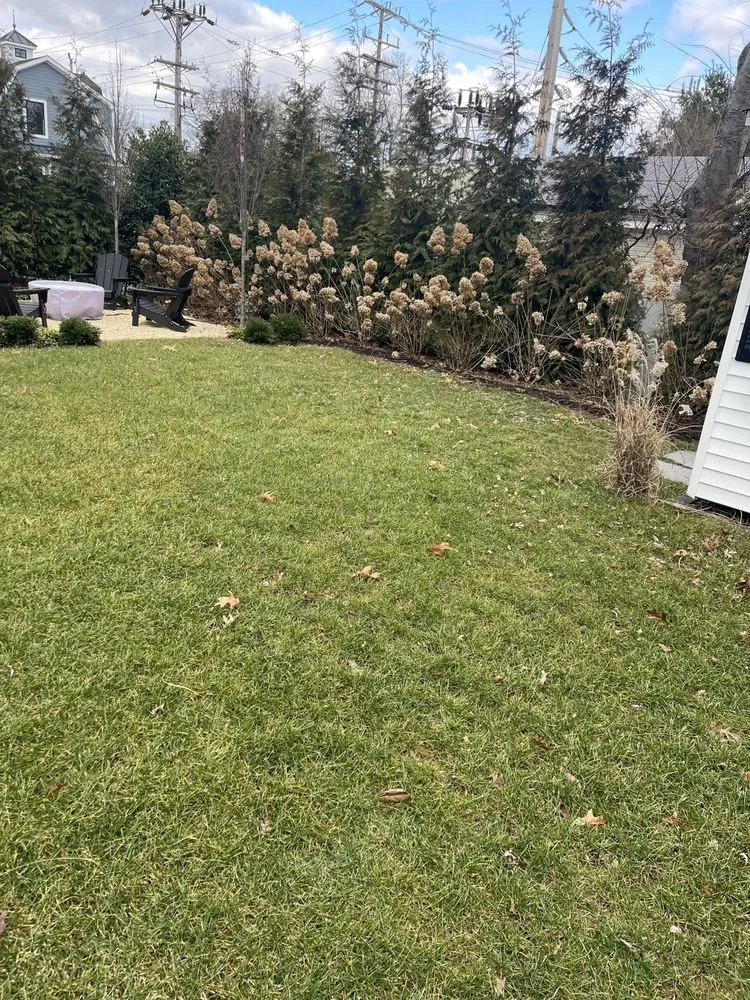 Professional yard maintenance for homes in Brick Township, NJ by The Competition Landscaping