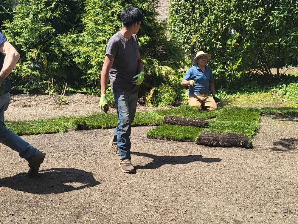 Top-rated yard maintenance for beautiful yards across Melville, NY - The Complete Sod Services Long Island