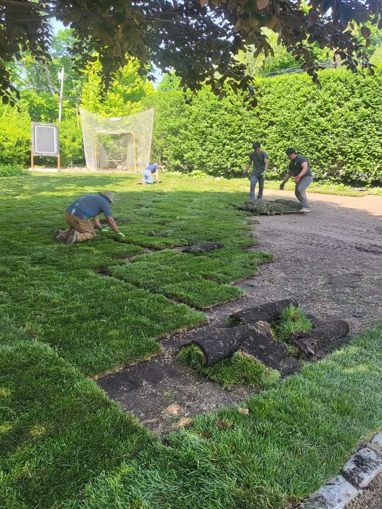 Top-rated outdoor landscaping experts serving Melville, NY - The Complete Sod Services Long Island