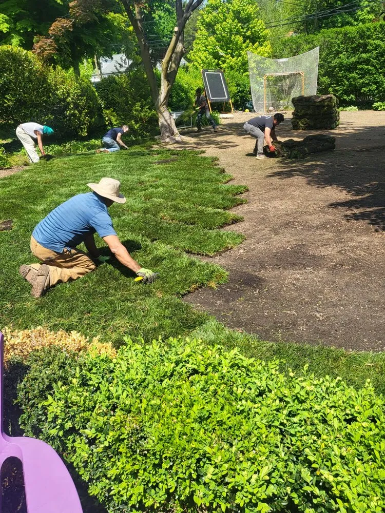 Reliable residential landscaping in Melville, NY by The Complete Sod Services Long Island