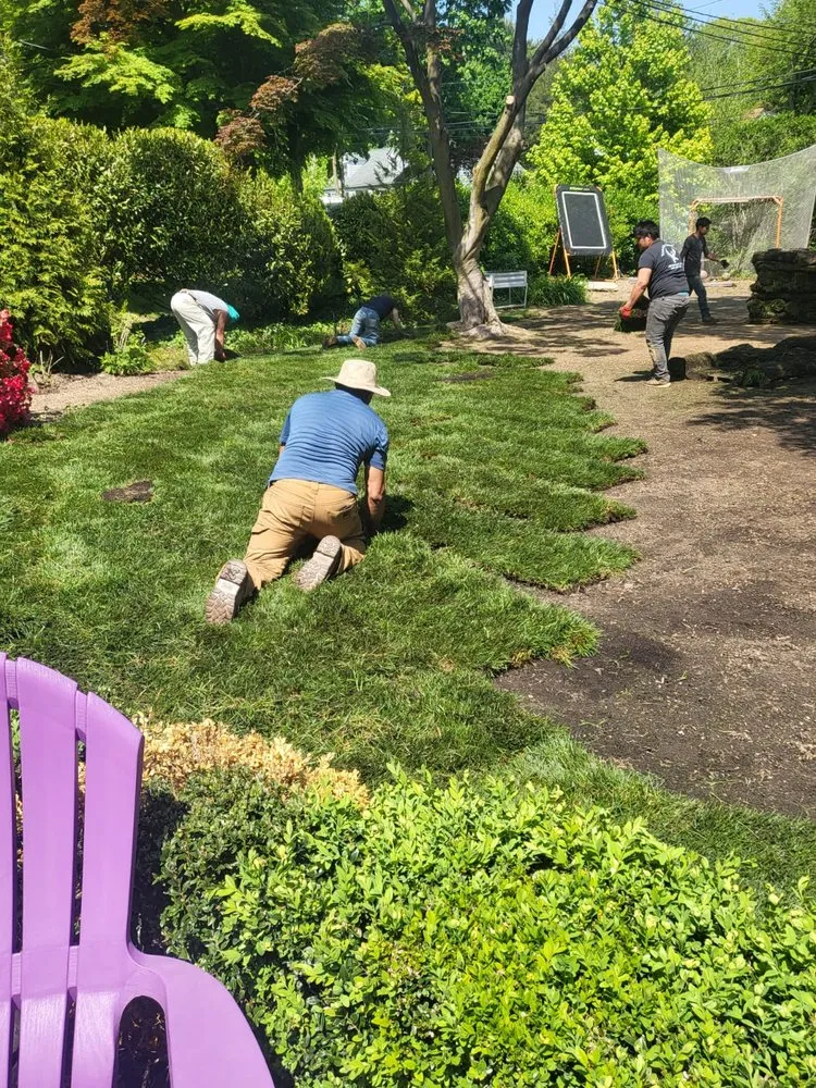 Professional yard cleanup service experts serving Melville, NY - The Complete Sod Services Long Island