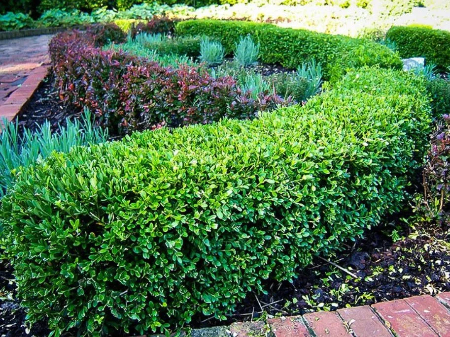 Professional landscaping services experts serving Westfield, NJ - The Contractors Group