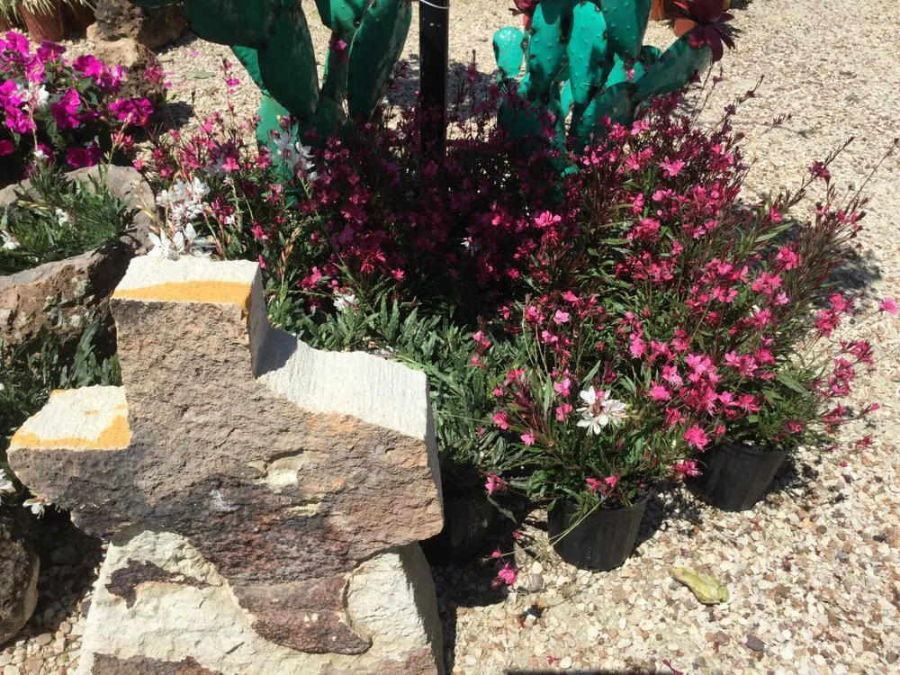 Top-rated lawn care service experts serving Hallettsville, TX - The Country Touch