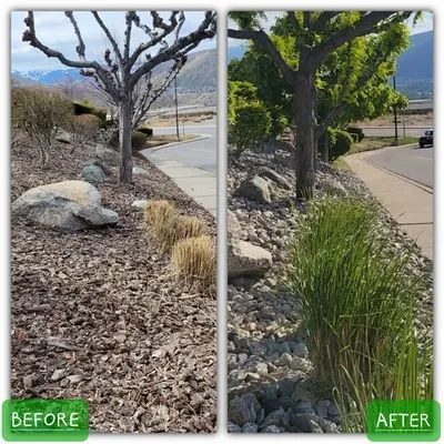 The Cousin Landscape