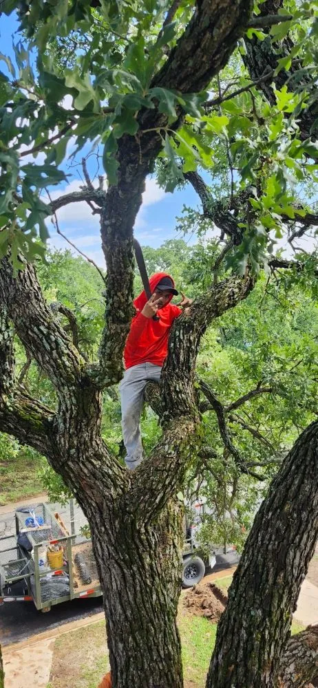 Affordable yard cleanup service in Lewisville, TX - The Cousins Lawn Care Services