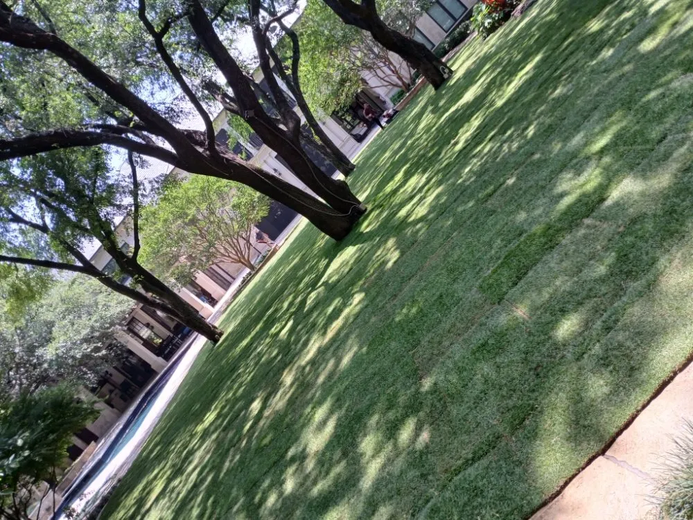 Custom outdoor landscaping in Lewisville, TX by The Cousins Lawn Care Services