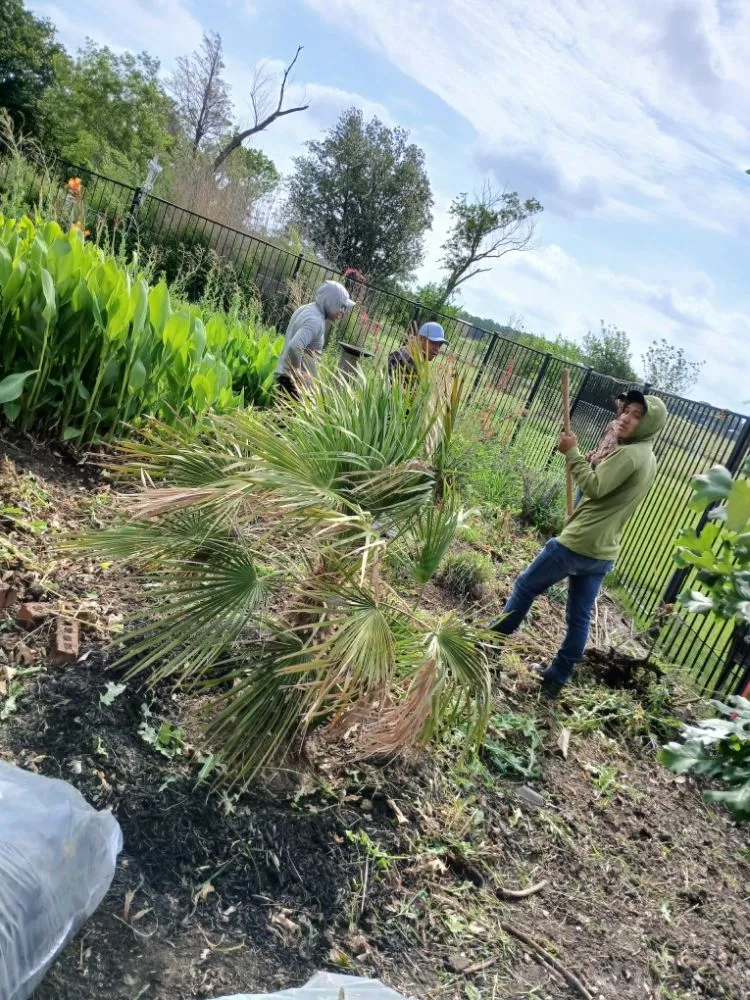 Expert yard cleanup service in Lewisville, TX by The Cousins Lawn Care Services