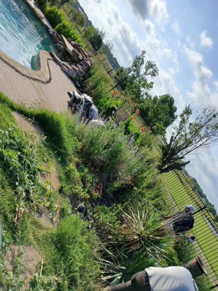 Expert lawn care service for homes in Lewisville, TX by The Cousins Lawn Care Services