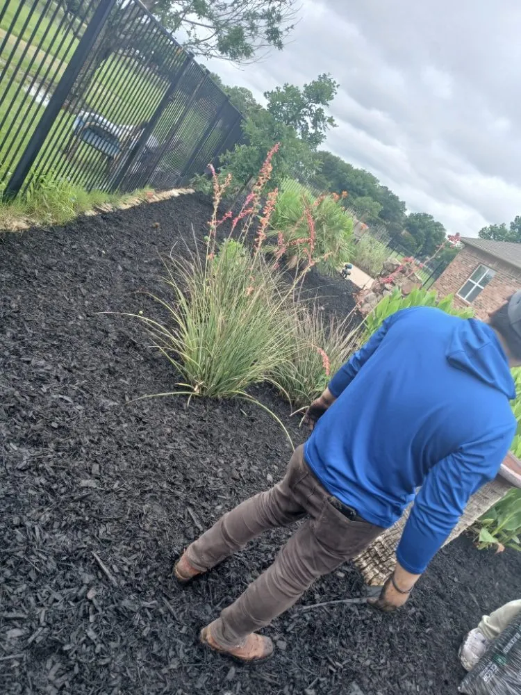 Custom lawn mowing service in Lewisville, TX by The Cousins Lawn Care Services