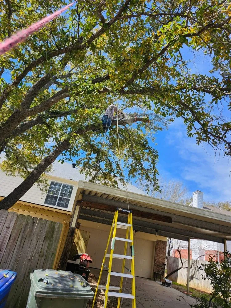 Affordable landscape installation experts serving Lewisville, TX - The Cousins Lawn Care Services