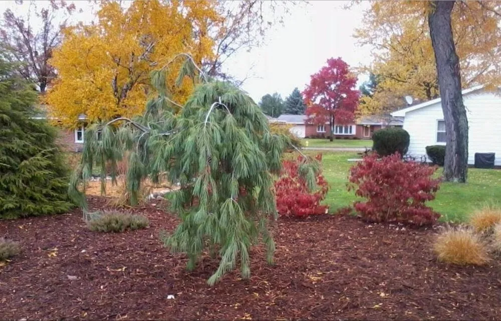 Top-rated landscape design experts serving Battle Creek, MI - The Cowardly Gardner