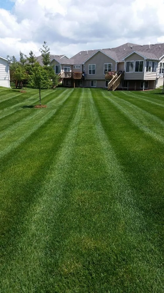 Local yard cleanup service for outdoor upgrades across WDM, IA - The C&R Trees And More