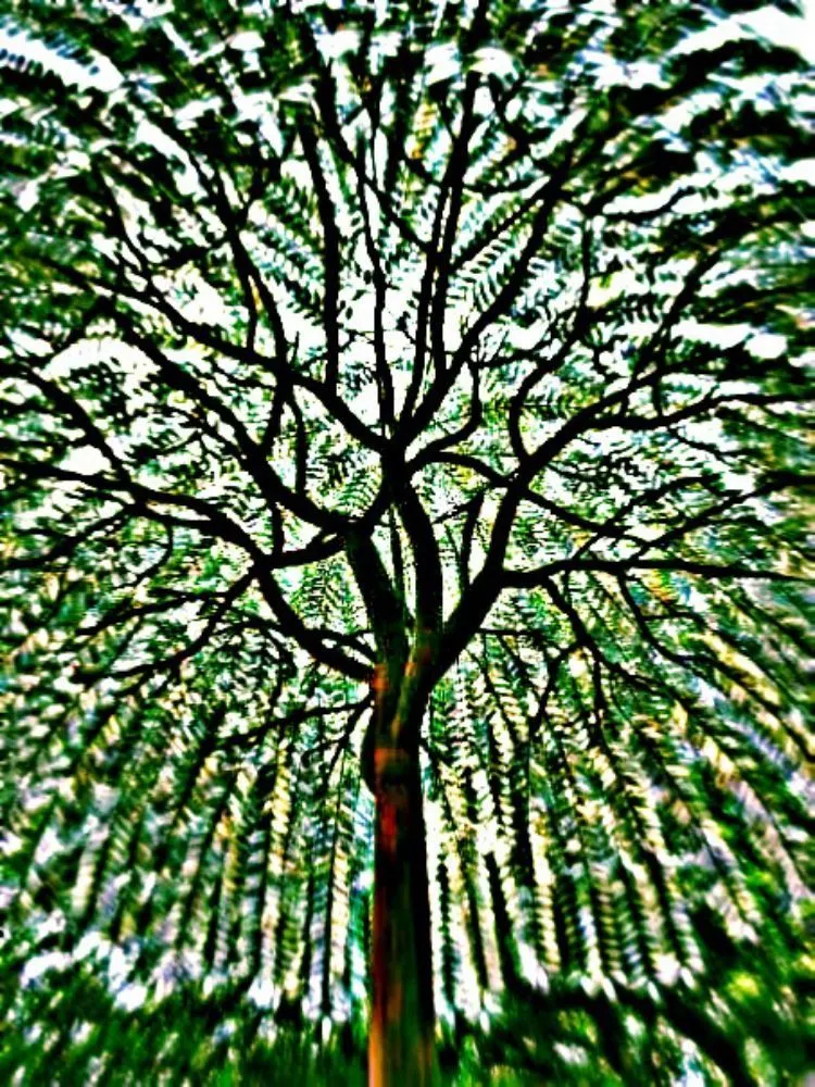 Trusted garden landscaping with custom design across WDM, IA - The C&R Trees And More