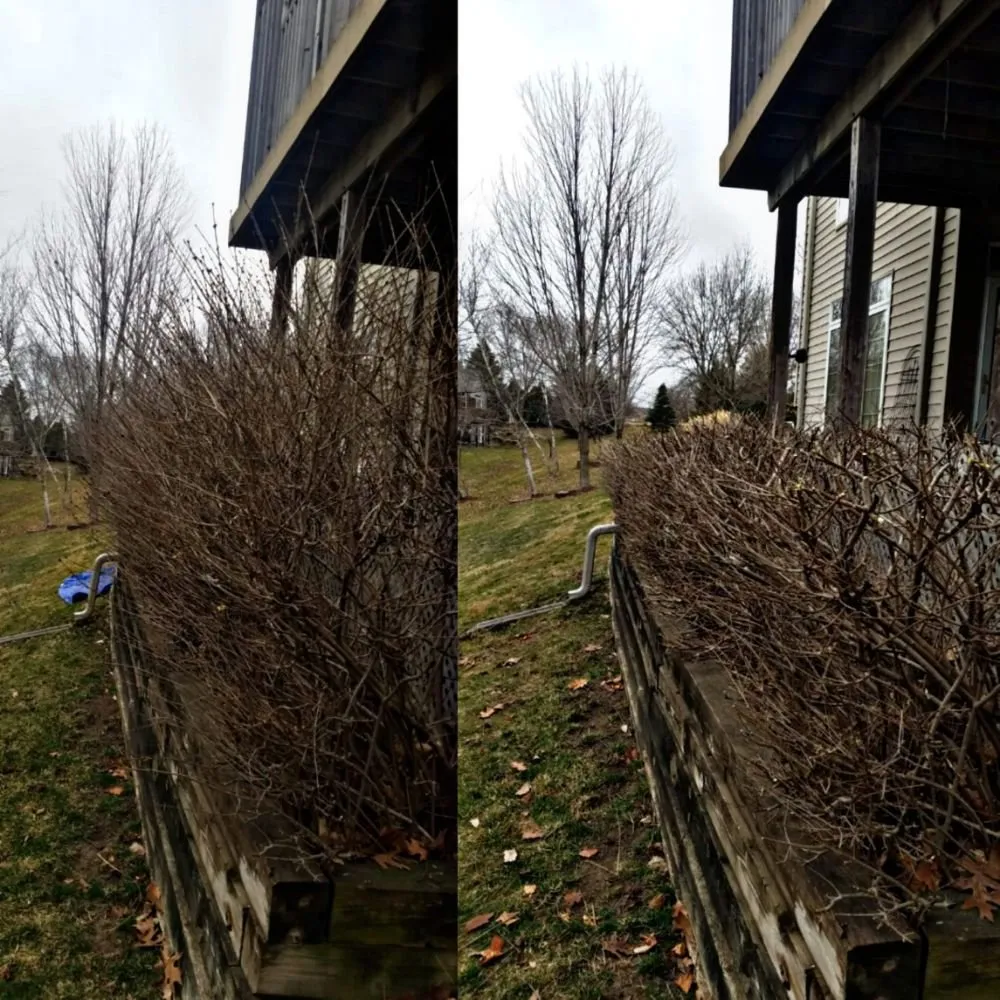 Trusted outdoor landscaping with custom design in WDM, IA by The C&R Trees And More