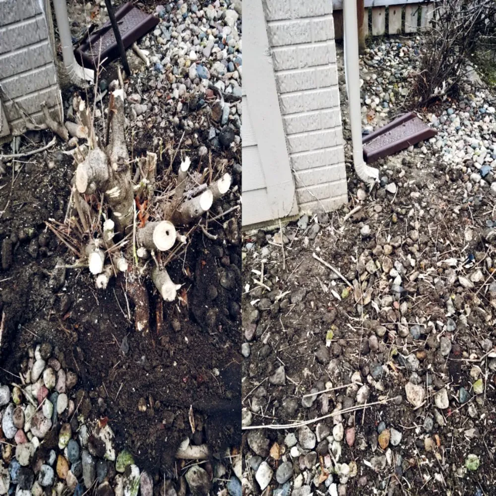 Local residential landscaping in WDM, IA - The C&R Trees And More
