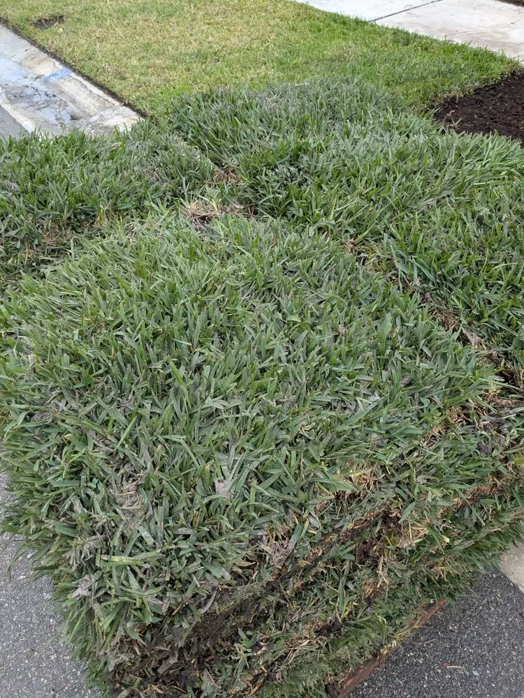 Affordable lawn mowing service experts serving Zephyrhills, FL - The Crafty Couple