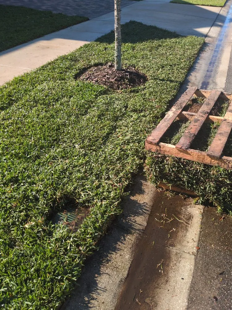 Expert residential landscaping experts serving Zephyrhills, FL - The Crafty Couple