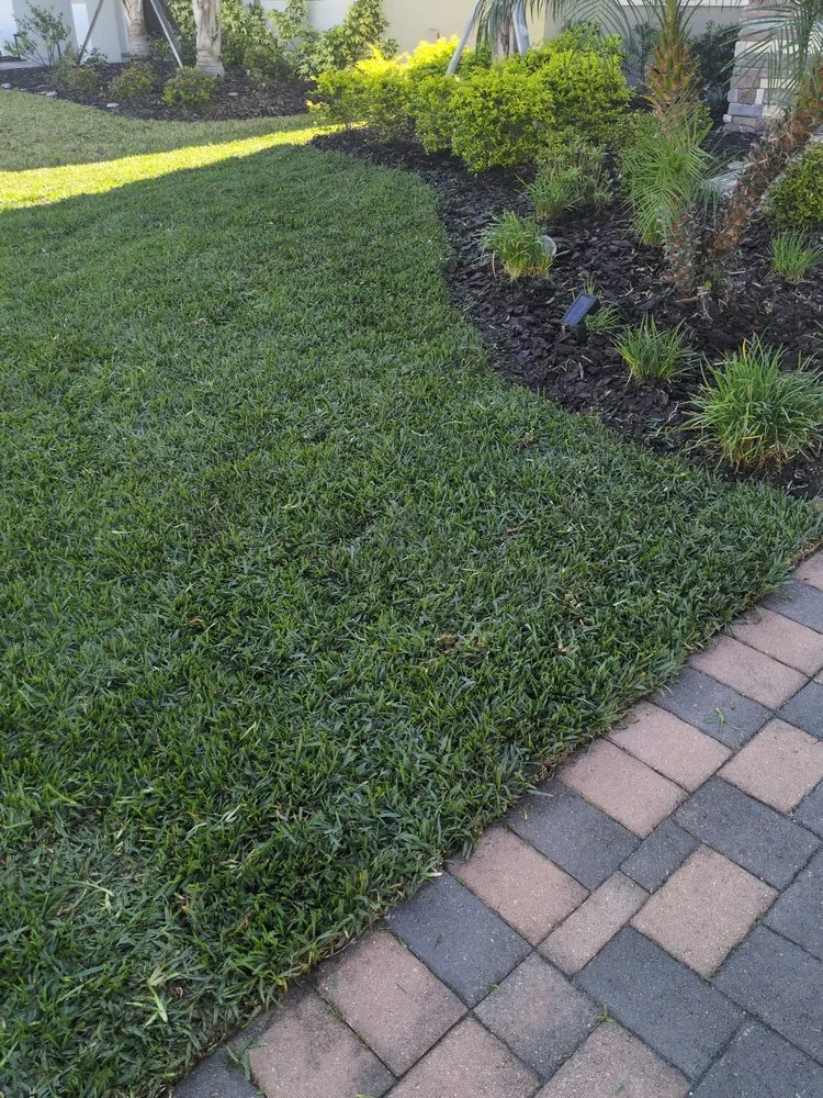 Custom yard cleanup service in Zephyrhills, FL by The Crafty Couple