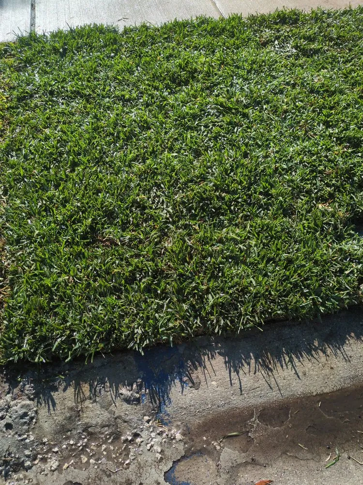 Local residential landscaping in Zephyrhills, FL - The Crafty Couple