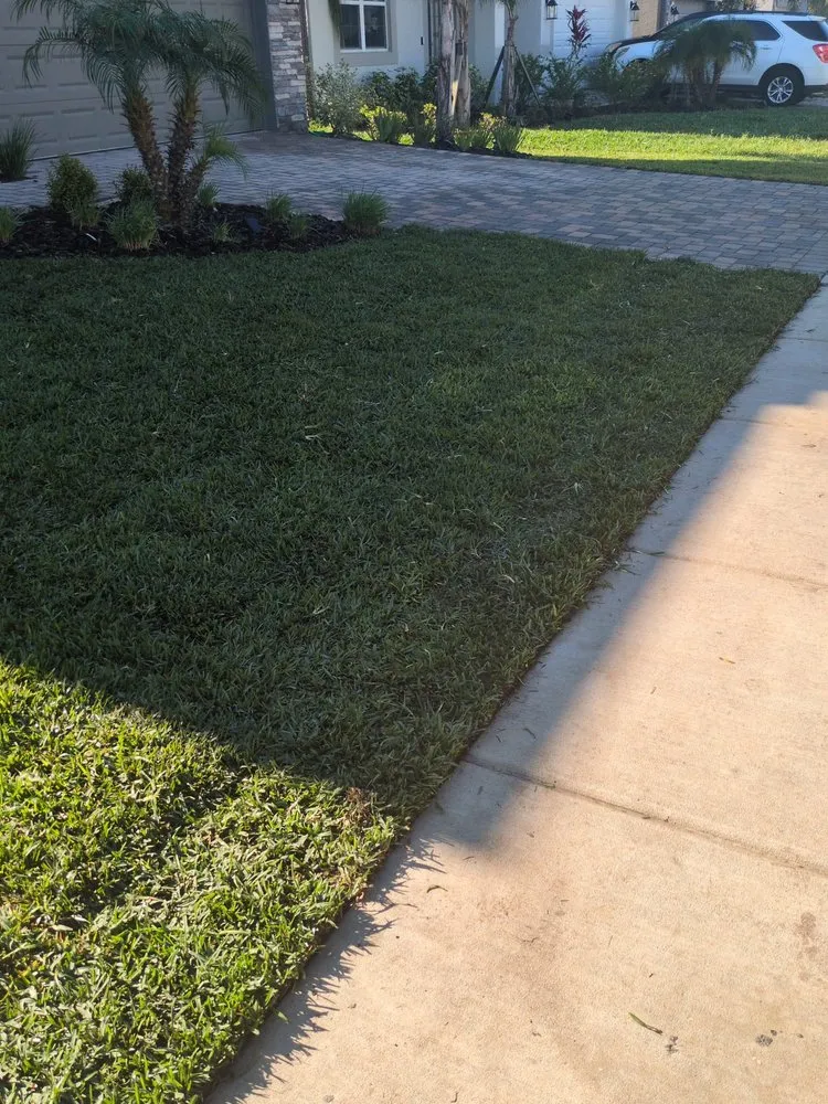 Trusted lawn mowing service in Zephyrhills, FL by The Crafty Couple