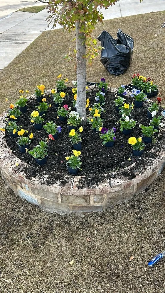 Reliable yard cleanup service for beautiful yards across Fort Worth, TX - The Crazy Grass Guy