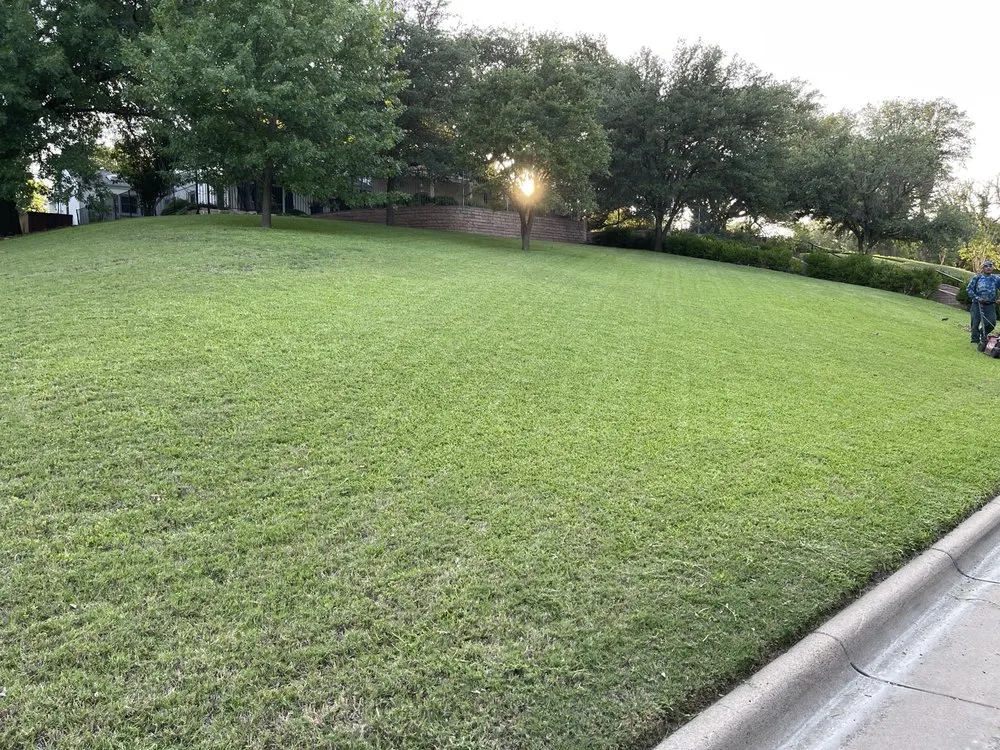 Affordable outdoor landscaping in Fort Worth, TX by The Crazy Grass Guy