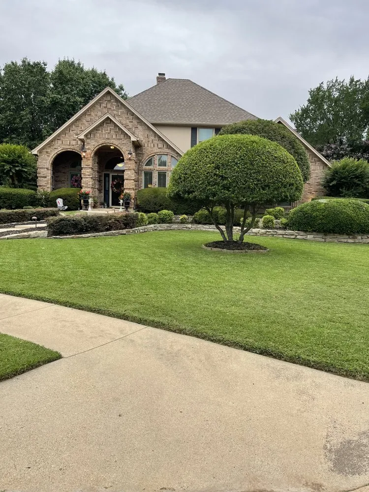 Affordable yard cleanup service in Fort Worth, TX by The Crazy Grass Guy