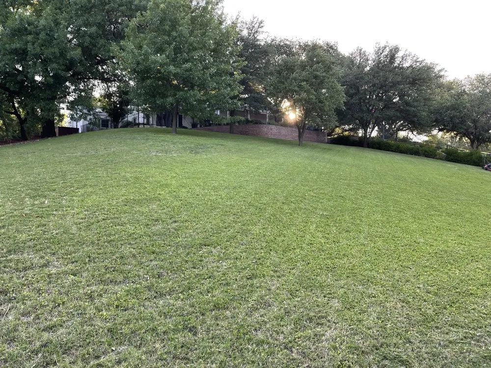 Reliable yard maintenance for outdoor upgrades across Fort Worth, TX - The Crazy Grass Guy