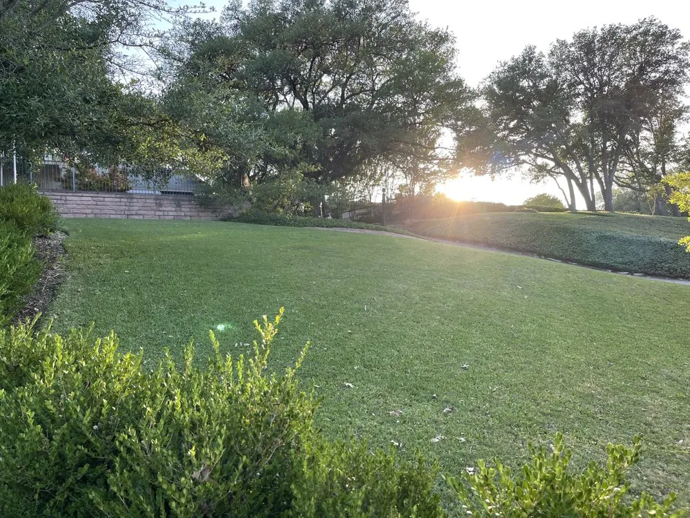 Top-rated yard maintenance in Fort Worth, TX - The Crazy Grass Guy