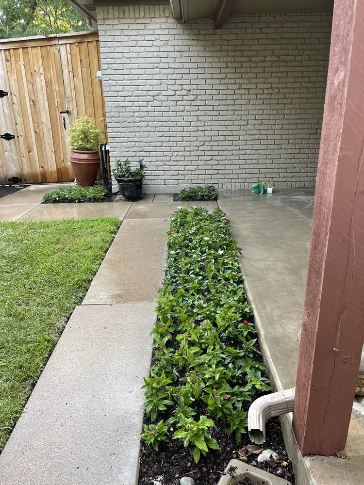 Professional yard cleanup service experts serving Fort Worth, TX - The Crazy Grass Guy